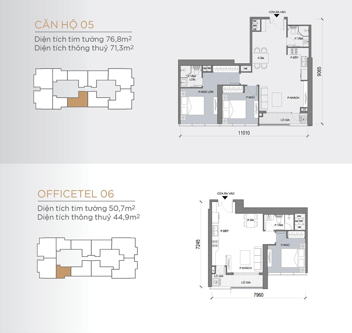Layout thiết kế tầng điển hình Tòa Lux 6 loại Căn hộ 05, Officetel 06.