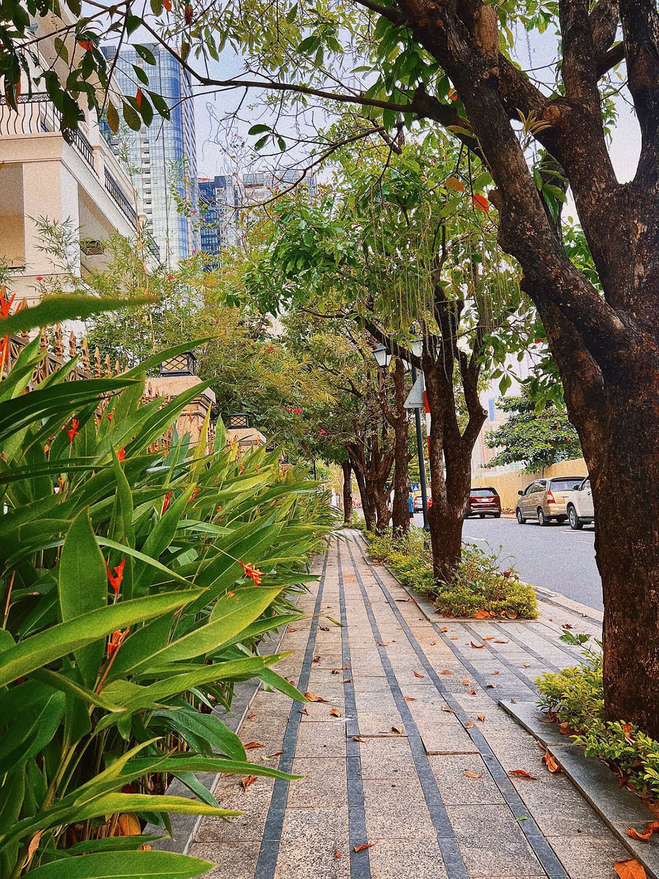 Hình ảnh thự tế khu biệt thự Bason The Victoria Vinhomes Golden River tại phường Bến Nghé, Quận 1.