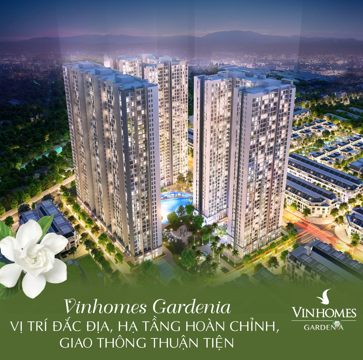 Thông tin tổng quan