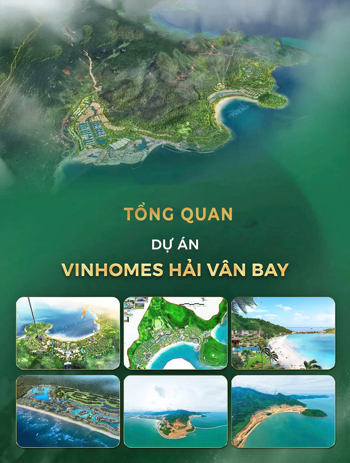 Thông tin tổng quan