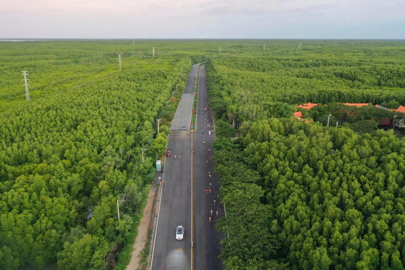 Tuyến đường Rừng Sác – nơi tuyến Metro Cần Giờ được đề xuất chạy song song hiện được xem là một trong những cung đường đẹp nhất TP.HCM. Tuyến đường này dài hơn 36 km, có 6 làn xe, uốn lượn giữa rừng ngập mặn Cần Giờ - khu dự trữ sinh quyển thế giới được UNESCO công nhận.